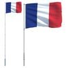 vidaXL France Flag Silver, Multicolor Aluminum, Polyester