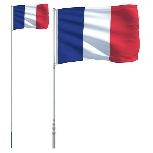 vidaXL France Flag Silver, Multicolor Aluminum, Polyester