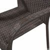 vidaXL Dining Chair Set of 4 Brown PE rattan, powder-coated steel