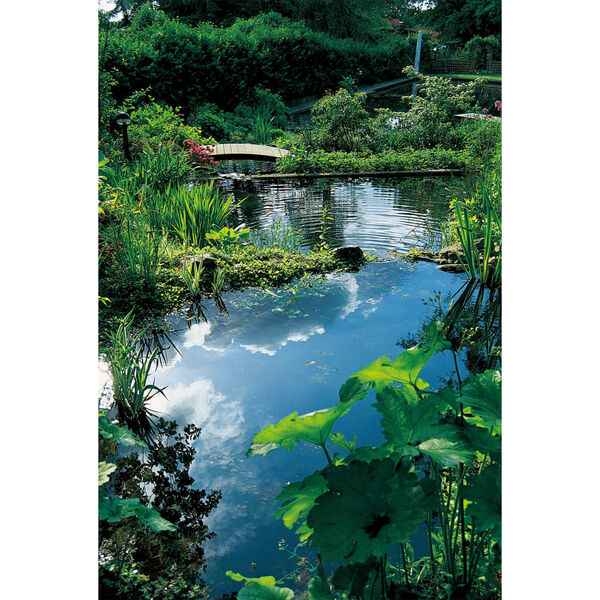 Ubbink Pond Accessory Brown Volcanic stone Medium Pond Accessory Other