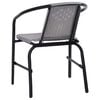 vidaXL Garden Chair Set of 2 Black Plastic Rattan, Steel Standard