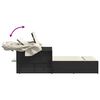 vidaXL Double Sun Lounger Black PE rattan Double-sized