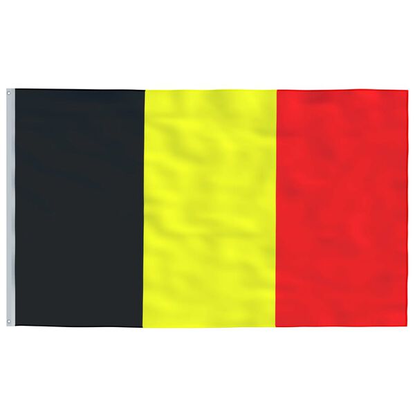 vidaXL Belgium Flag Silver, Multicolor Aluminum, 100% Polyester Large