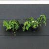 Nature Flower Pot Black Polypropylene Medium Wall mounting Flower Pot