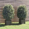vidaXL Planter Set of 2 Gray Solid Pinewood Medium Durable Planter