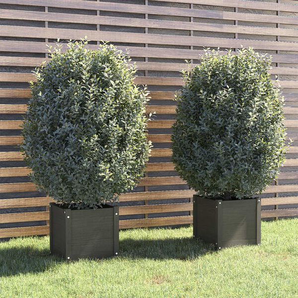 vidaXL Planter Set of 2 Gray Solid Pinewood Medium Durable Planter