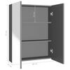 vidaXL Mirror Cabinet Anthracite MDF with Melamine surface and Glass