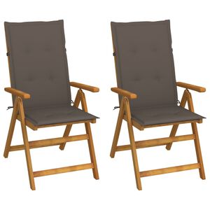 vidaXL Garden Chair Set of 2 Taupe, Brown