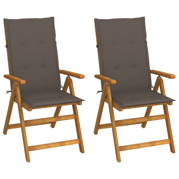 vidaXL Garden Chair Set of 2 Taupe, Brown
