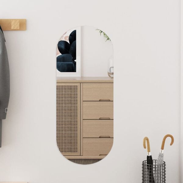 vidaXL Wall Mirror Transparent Glass 9.8x23.6 in Mirror Wall Mirror