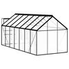vidaXL Greenhouse Anthracite, Transparent Aluminum, Polycarbonate Large