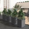 vidaXL Planter Set of 4 Black Polypropylene Medium Decorative Inlays