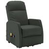 vidaXL Stand Up Massage Chair Anthracite