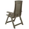 vidaXL Garden Chair Set of 2 Mocca Plastic Standard Foldable