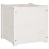 vidaXL Planter Set of 2 White Solid pinewood Large Durable Planter