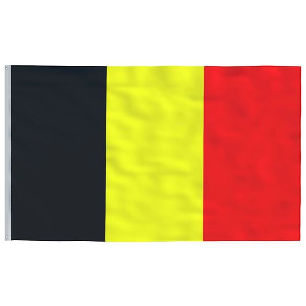 vidaXL Belgium Flag Silver, Multicolor Aluminum, 100% Polyester Large