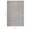 vidaXL Rug Light Grey Polypropylene 78.7 x 114.2 in Area Rug