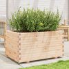 vidaXL Garden Planter Natural wood finish Solid pinewood Large Durable