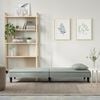 vidaXL Sofa Bed Light Grey Velvet (100% polyester), plywood