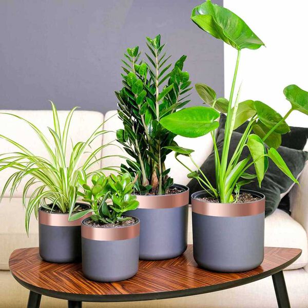 vidaXL Double Sided Copper Tape Copper 2000 x 5 cm Copper