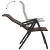 vidaXL Garden Chair Set of 2 Brown PE Rattan, Powder-Coated Steel Medium