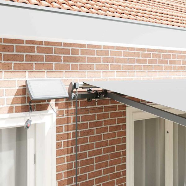 vidaXL Awning with Manual Anthracite 118.11" x 98.43" Metal