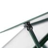 vidaXL Greenhouse Green, Clear Aluminum, Polycarbonate