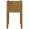 vidaXL Garden Planter Set of 2 Honey brown Solid pinewood Medium
