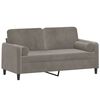 vidaXL 2-seater Sofa Light Grey Velvet (100% polyester), Metal, Plywood