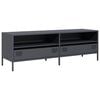 vidaXL TV Cabinet Anthracite Cold-rolled Steel Medium Adjustable Feet