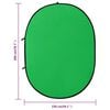 vidaXL 2 in 1 Oval Studio Background Screen Green and Blue 78.7x59.1"