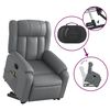 vidaXL Electric Stand Up Massage Recliner Chair Gray