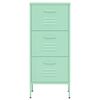 vidaXL Storage Cabinet Mint Steel Medium Storage Cabinet Rectangular