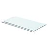 vidaXL Glass Panel Set of 2 Clear Tempered Glass 23.6 x 9.8 in
