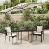 vidaXL Garden Dining Set Black Poly Rattan Regular Modular