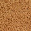 vidaXL Door Mat Natural Coir, PVC 25.6 x 39.4 in Door Mat Rectangular
