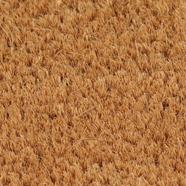 vidaXL Door Mat Natural Coir, PVC 25.6 x 39.4 in Door Mat Rectangular