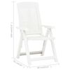 vidaXL Garden Chair Set of 2 White Plastic Medium Foldable