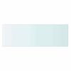 vidaXL Glass Panel Clear Tempered Glass 23.6 x 7.9 in Glass Shelf