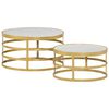 vidaXL Coffee Table Set of 2 Brass and White Marble, Steel Small