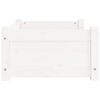 vidaXL Dog Bed White Solid pine wood Small/Medium Dog Bed Rectangular