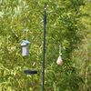 Esschert Design Bird Feeder Station Black Mild Steel Large Hooks