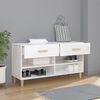 vidaXL Shoe Cabinet High gloss white Engineered wood