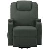 vidaXL Stand Up Massage Chair Anthracite Faux leather, PVC, iron Standard