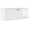 vidaXL Wall Shoe Cabinet High gloss white Engineered wood Compact