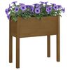 vidaXL Garden Planter Set of 2 Honey Brown Solid Pinewood Medium