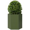 vidaXL Garden Planter Olive Green Steel Medium Sturdy Hexagonal