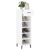 vidaXL Shoe Cabinet White Engineered Wood, Iron, Aluminum Compact