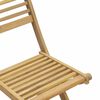 vidaXL Garden Chair Set of 2 Light wood Solid Acacia wood Standard