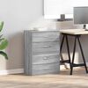 vidaXL Cabinet Set of 2 Grey Sonoma Engineered wood Small Cabinet